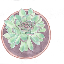 Mon projet du cours : Carnet de croquis botanique : une approche méditative. Ilustração tradicional, Esboçado, Desenho, Pintura em aquarela, Ilustração botânica, e Sketchbook projeto de Virginie Brun - 15.08.2021