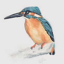 My project in Artistic Watercolor Techniques for Illustrating Birds course. Traditional illustration, Watercolor Painting, Realistic Drawing, and Naturalistic Illustration project by Clémentine Daudier - 08.11.2021