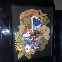 Mi Proyecto del curso: Técnicas básicas de prensado botánico. Un progetto di Collage di Carmen Cortes - 16.08.2021
