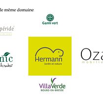 Mon projet du cours : Design de logos : synthèse graphique et minimalisme. Projekt z dziedziny Design, Br, ing i ident, fikacja wizualna, Projektowanie graficzne, Projektowanie logot i pów użytkownika jess.marini32 - 06.08.2021
