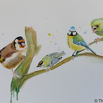 My project in Artistic Watercolor Techniques for Illustrating Birds course. Traditional illustration, Watercolor Painting, Realistic Drawing, and Naturalistic Illustration project by Thomas Larsson - 08.23.2021