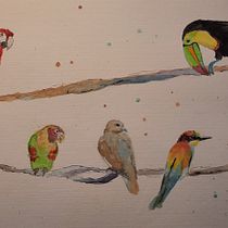 Mein Kursprojekt: Illustriere Vögel mit expressiven Aquarelltechniken. Traditional illustration, Watercolor Painting, Realistic Drawing, and Naturalistic Illustration project by Petra Köster - 08.16.2021