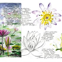 My project in Watercolor Travel Journal course. Traditional illustration, Watercolor Painting, Architectural Illustration, and Sketchbook project by Joanna Zakrzewska - 08.16.2021