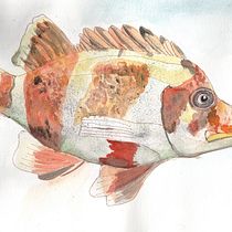My project in Artistic Watercolor Sketching: Dare to Express Your Ideas course. Traditional illustration, Sketching, Creativit, Drawing, Watercolor Painting, and Sketchbook project by Jim Kelly - 08.16.2021