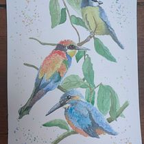 My project in Artistic Watercolor Techniques for Illustrating Birds course. Traditional illustration, Watercolor Painting, Realistic Drawing, and Naturalistic Illustration project by Laura Magnani - 08.17.2021
