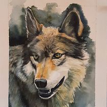 Mi Proyecto del curso: Retratos expresivos de animales en acuarela. Un proyecto de Ilustración tradicional, Pintura a la acuarela, Dibujo realista e Ilustración naturalista				 de angelpirineo - 17.08.2021