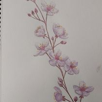 Mi Proyecto del curso: Cuaderno botánico en acuarela. Projekt z dziedziny Trad, c, jna ilustracja, Malowanie akwarelą, R, sunek botaniczn i Sketchbook użytkownika Zayed Zabala Vallejo - 12.08.2021