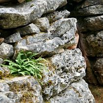 Land & Stone. Photograph, Digital Photograph, and Photographic Composition project by Jam Valentin - 08.03.2021