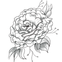Mi Proyecto del curso: Tatuaje para principiantes. Tattoo Design project by Ana Hernandez Sanchez - 08.18.2021