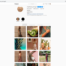 May Flower. Photograph, Social Media, Mobile Photograph, Portfolio Development, Digital Photograph, Instagram Photograph & Instagram Marketing project by Benedita Costa Pinto - 08.17.2021