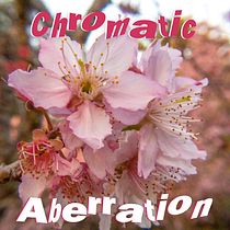 Chromatic Aberration.. Photograph, Digital Photograph, and Photographic Composition project by Vinicius Pacheco - 01.16.2021