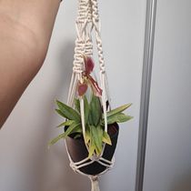 Suporte para vasos. Un proyecto de Diseño de complementos, Artesanía, Decoración de interiores, Tejido y Macramé de Sílvia Pereira - 19.08.2021
