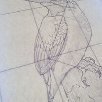 Mi Proyecto del curso: Ilustración naturalista con bolígrafo. Traditional illustration, Drawing, Realistic Drawing, and Naturalistic Illustration project by humberto velez hernandez - 08.15.2021