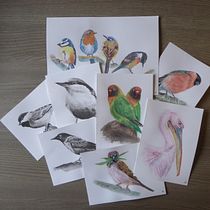 My project in Artistic Watercolor Techniques for Illustrating Birds course. Traditional illustration, Watercolor Painting, Realistic Drawing, and Naturalistic Illustration project by an_baeyens - 08.20.2021