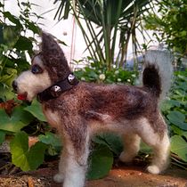 Mi Proyecto del curso: Creación de animales con needle felting. Artesanato, e Tecido projeto de aliciamelgarejo573 - 20.08.2021