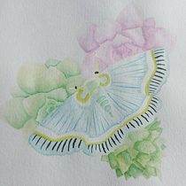 Mi Proyecto del curso: Dibujo y composición naturalista en acuarela. Traditional illustration, Drawing, Watercolor Painting, and Naturalistic Illustration project by Belén Moreno - 08.22.2021
