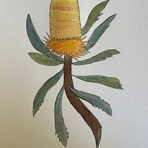 My project in Botanical Sketchbooking: A Meditative Approach course. Ilustração tradicional, Esboçado, Desenho, Pintura em aquarela, Ilustração botânica, e Sketchbook projeto de Mary-Ellen Pegley - 22.08.2021