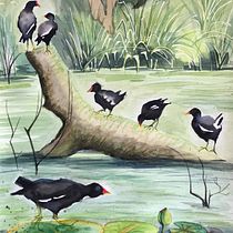 My project in Illustrating Nature: Palmers Rough Pond. Traditional illustration, Painting, Drawing, Watercolor Painting, Ink Illustration, and Naturalistic Illustration project by Vicky - 08.22.2021