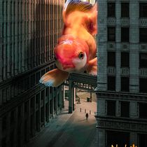 Mi Proyecto del curso: Fotomontaje en Photoshop: crea mundos futuristas. Un projet de Postproduction photographique, Retouche photographique, Photographie numérique, Composition photographique , et Photomontage de David vinueza - 04.05.2021