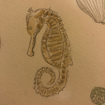 Inspired by Sydney's beaches. Traditional illustration, Painting, Drawing, Watercolor Painting, Ink Illustration, and Naturalistic Illustration project by Amanda Hickey - 08.21.2021