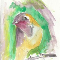 Meu projeto do curso: Técnicas expressivas de aquarela para ilustração de pássaros. Traditional illustration, Watercolor Painting, Realistic Drawing, and Naturalistic Illustration project by Juan Queiroz - 08.22.2021