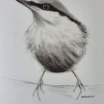 Second project - Crows in watercolour. Traditional illustration, Watercolor Painting, Realistic Drawing, and Naturalistic Illustration project by Sabina Kunder Ricci - 08.23.2021