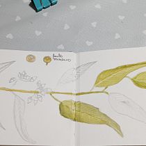 Mi Proyecto del curso: Cuaderno botánico en acuarela. Projekt z dziedziny Trad, c, jna ilustracja, Malowanie akwarelą, R, sunek botaniczn i Sketchbook użytkownika Marta Perez Galan - 23.08.2021