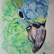 Mi Proyecto del curso: Acuarela artística para ilustración de aves. Traditional illustration, Watercolor Painting, Realistic Drawing, and Naturalistic Illustration project by Sandra Luisa Molina - 08.24.2021