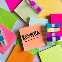 Mi Proyecto del curso: Construir con un orden . Marketing, e Consultoria criativa projeto de albagan18 - 24.08.2021