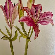 Meu projeto do curso: Aquarela botânica: ilustre a anatomia das flores. Un progetto di Illustrazione tradizionale, Belle arti, Pittura, Disegno, Pittura ad acquerello e Illustrazione botanica di Teresa Pereira - 23.08.2021