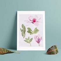 Mi Proyecto del curso: Acuarela botánica: ilustra la anatomía de las flores. Ilustração tradicional, Artes plásticas, Pintura, Desenho, Pintura em aquarela e Ilustração botânica projeto de Claudia Valencia - 24.08.2021
