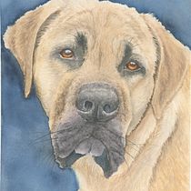 My project in Expressive Animal Portraits in Watercolor course. Un projet de Illustration traditionnelle, Aquarelle, Dessin réaliste et Illustration naturaliste de rlferrier - 24.08.2021