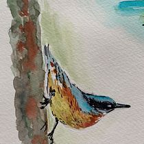 Mein Kursprojekt: Naturalistische Aquarellillustration von Vögeln. Projekt z dziedziny Trad, c, jna ilustracja, Malowanie akwarelą, R, sunek realist, czn, Ilustracja naturalist i czna użytkownika Svetlana - 25.08.2021