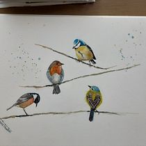 My project in Artistic Watercolor Techniques for Illustrating Birds course with Sarah Stokes. Watercolor Painting, and Traditional illustration project by Jaine Tawton - 08.25.2021