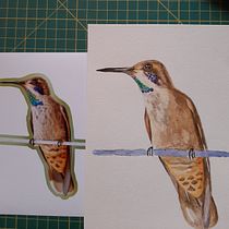 Mi Proyecto del curso: Acuarela artística para ilustración de aves. Traditional illustration, Watercolor Painting, Realistic Drawing, and Naturalistic Illustration project by andreaobu - 08.25.2021
