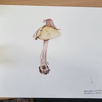 Il mio progetto del corso: Sketching quotidiano per potenziare la creatività. Traditional illustration, Sketching, Creativit, Drawing, and Sketchbook project by Enrica Mazzarello - 11.02.2022
