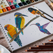 My project in Artistic Watercolor Techniques for Illustrating Birds course. Traditional illustration, Watercolor Painting, Realistic Drawing, and Naturalistic Illustration project by Cynthia - 08.26.2021