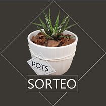 POTS.Decogarden. Social Media, Mobile Photograph, Digital Marketing, Digital Photograph, Mobile Marketing, Instagram, Content Marketing, Instagram Photograph, Instagram Marketing, Lifest, le Photograph, Design, and Architecture project by julio_bolognini - 08.26.2021