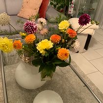 Mein Kursprojekt: Saisonales Blumendesign für Anfänger. Design de interiores, Paisagismo, Decoração de interiores, e DIY projeto de vanessacasanovabrito - 28.08.2021