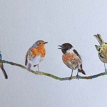 My project in Artistic Watercolor Techniques for Illustrating Birds course. Traditional illustration, Watercolor Painting, Realistic Drawing, and Naturalistic Illustration project by saffire - 08.28.2021
