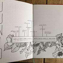Mi Proyecto del curso: Introducción al bullet journal ilustrado. Projekt z dziedziny Trad, c, jna ilustracja, Craft, T, pografia,  R, sunek,  R, sunek art, st, czn, R, sunek botaniczn, DIY,  Pismo dekorac i jne użytkownika Marengla León - 28.08.2021