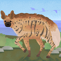The stripped hyena. Un progetto di Illustrazione vettoriale, Illustrazione digitale e Illustrazione infantile di sami - 25.07.2021