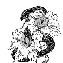 Serpiente japonesa en balckwork. Un projet de Illustration traditionnelle, Illustration numérique , et Conception de tatouage de carlosziadaliyassin - 30.08.2021