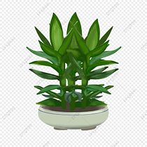 Mi Proyecto del curso: Diseño y creación de composiciones botánicas. Een project van  Interieurdecoratie, DIY, Bloem- en plantenschikken, Interieurontwerp, L y scaping van german_beteta - 19.08.2021