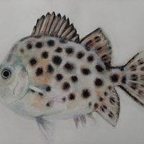 Mon projet du cours : Illustration d'univers marins à l'aquarelle. Un projet de Illustration traditionnelle, Peinture, Aquarelle et Illustration naturaliste de monik_b - 31.08.2021