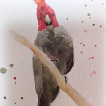 My project in Artistic Watercolor Techniques for Illustrating Birds course. Traditional illustration, Watercolor Painting, Realistic Drawing, and Naturalistic Illustration project by Sarah Kynaston - 09.01.2021