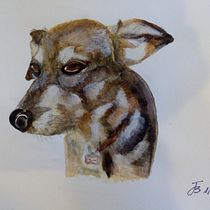 Mi projecto primeros intentos. Un progetto di Illustrazione tradizionale, Belle arti, Pittura ad acquerello e Illustrazione naturalistica di Jon Bickel - 01.09.2021
