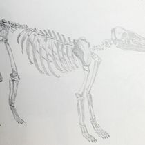 Rheba's final project in Daily Sketching for Creative Inspiration course. Traditional illustration, Sketching, Creativit, Drawing, and Sketchbook project by Rheba - 08.31.2021