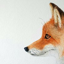 My project in Expressive Animal Portraits in Watercolor course. Ilustração tradicional, Pintura em aquarela, Desenho realista e Ilustração naturalista projeto de svenjalouwho - 03.09.2021