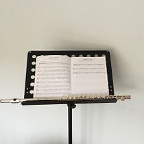 The Art To Creating Beautiful Music. Writing, Creativit, Stor, telling, and Narrative project by Laura Varney - 09.03.2021